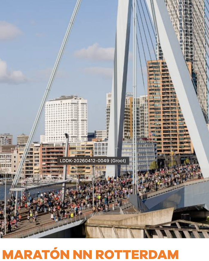 Foto de Maratón de Rotterdam